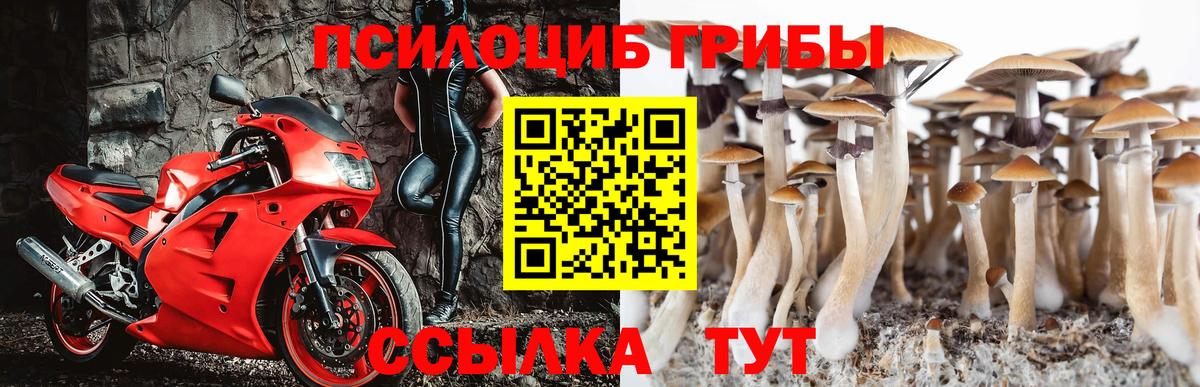 Муравленко  Галлюциногенные грибы GOLDEN TEACHER  Вход с VPN 