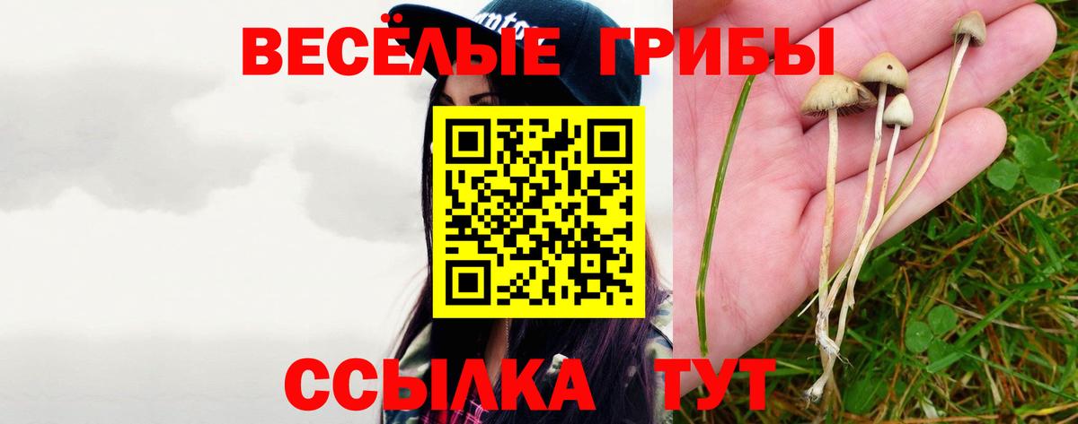 Псилоцибиновые грибы Magic Shrooms Муравленко